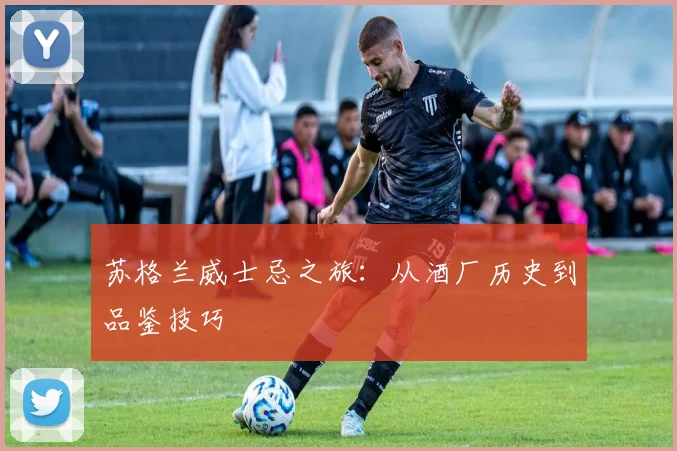 苏格兰威士忌之旅：从酒厂历史到品鉴技巧