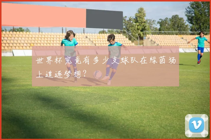 世界杯究竟有多少支球队在绿茵场上追逐梦想？