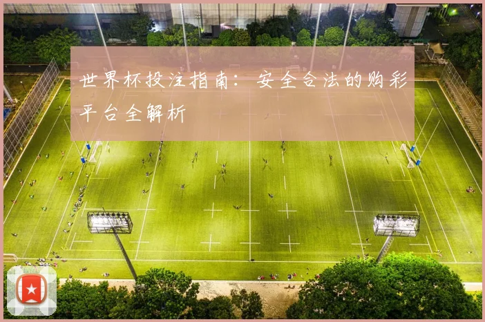 世界杯投注指南：安全合法的购彩平台全解析