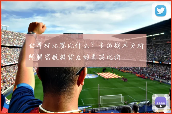 世界杯比赛比什么？专访战术分析师解密数据背后的真实比拼