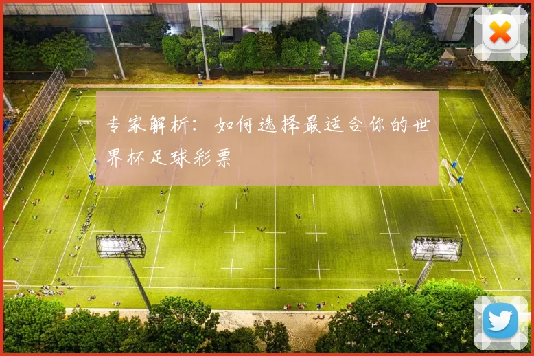 专家解析：如何选择最适合你的世界杯足球彩票