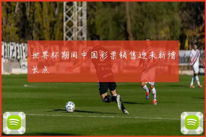 世界杯期间中国彩票销售迎来新增长点
