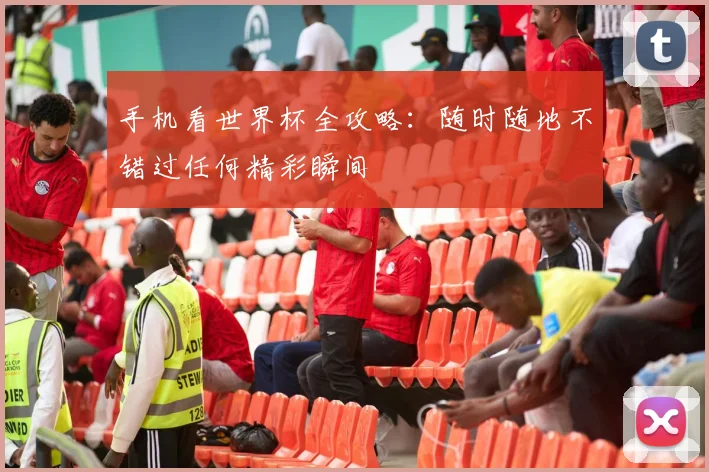 手机看世界杯全攻略：随时随地不错过任何精彩瞬间