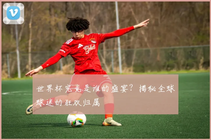 世界杯究竟是谁的盛宴？揭秘全球球迷的狂欢归属