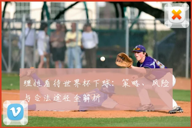 理性看待世界杯下球：策略、风险与合法途径全解析