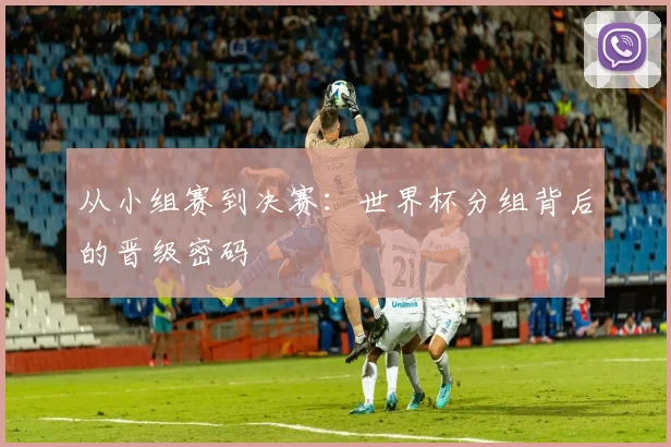从小组赛到决赛：世界杯分组背后的晋级密码