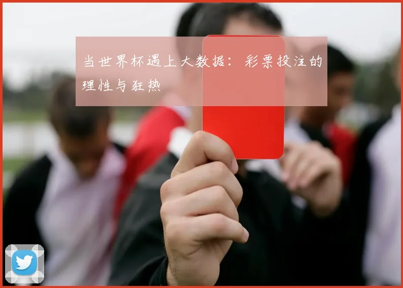 当世界杯遇上大数据：彩票投注的理性与狂热