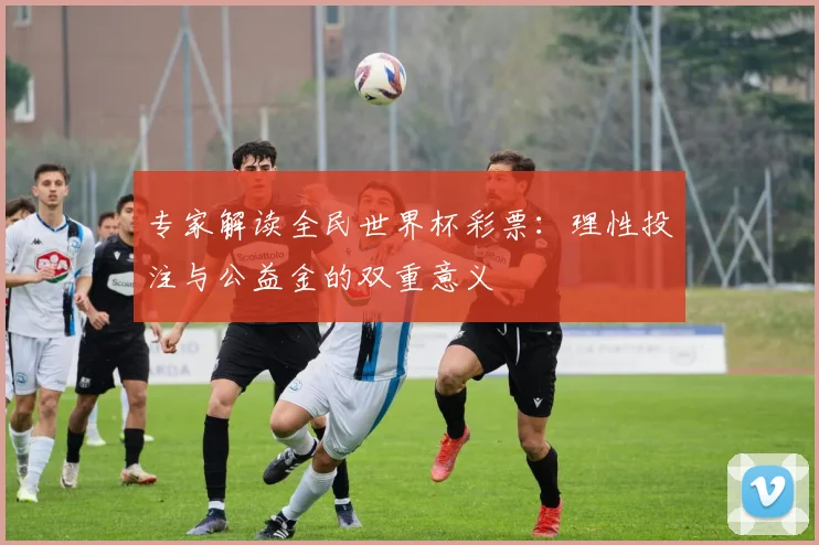 专家解读全民世界杯彩票：理性投注与公益金的双重意义