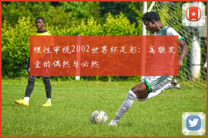 理性审视2002世界杯足彩：高额奖金的偶然与必然