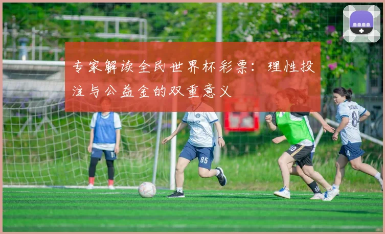 专家解读全民世界杯彩票:理性投注与公益金的双重意义