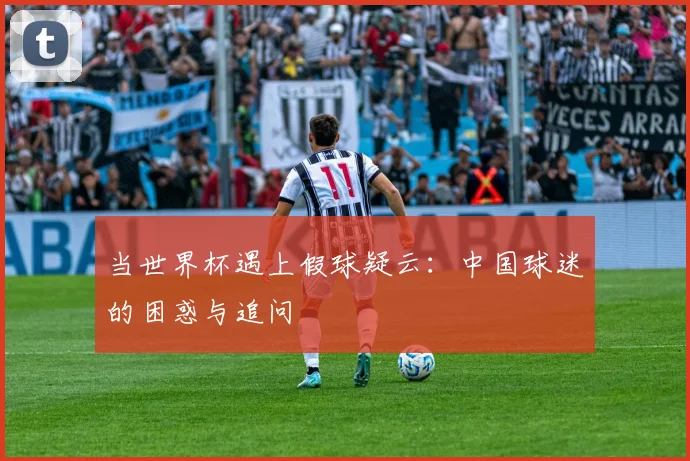 当世界杯遇上假球疑云：中国球迷的困惑与追问