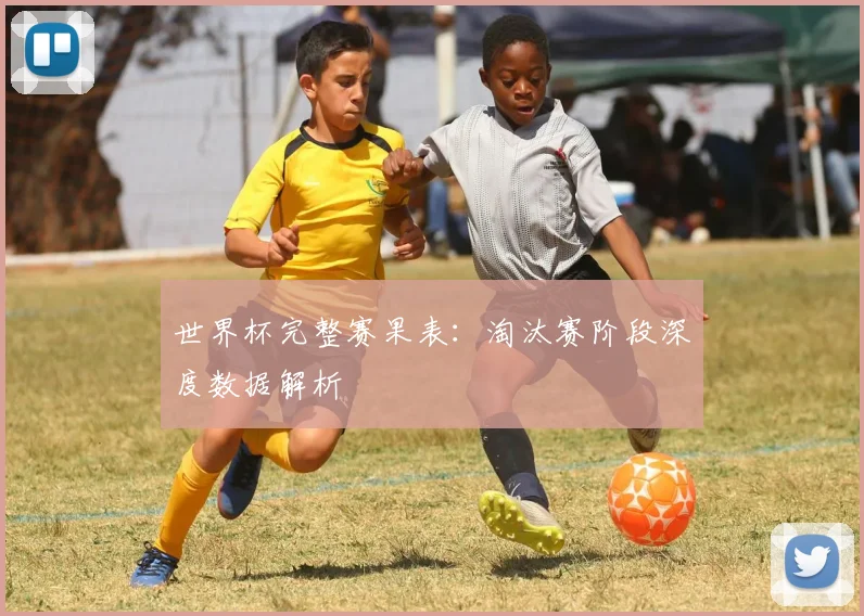 世界杯完整赛果表:淘汰赛阶段深度数据解析