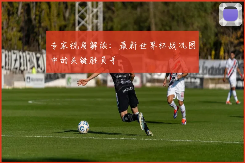 专家视角解读：最新世界杯战况图中的关键胜负手