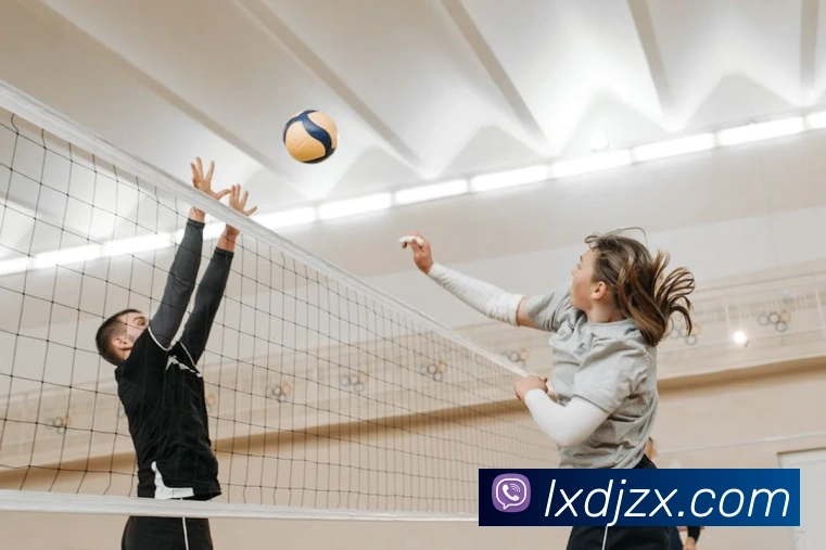 爱游戏平台官网服务体系